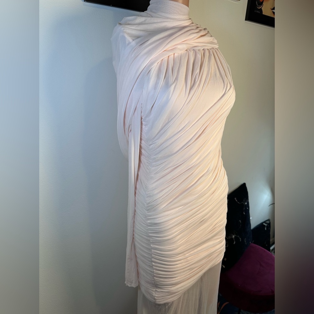 Deme by Gabriella Isla Dress in Baby Pink draped long sleeve sheer gown maxi - Picture 6 of 9